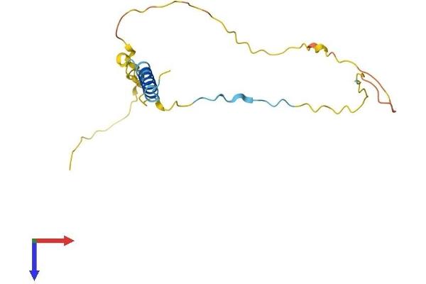 DBNDD2 Protein (AA 1-158) (His tag)