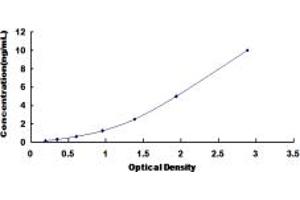 Typical standard curve (LAG3 ELISA Kit)