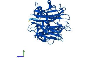 Protein Structure (PS) image for Sialidase 2 (Cytosolic Sialidase) (NEU2) (AA 1-380) protein (His tag) (ABIN7549736)