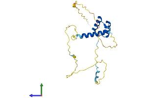 Protein Structure (PS) image for PROP Paired-Like Homeobox 1 (PROP1) (AA 1-223) protein (His tag) (ABIN7556810)