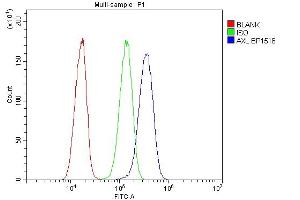 Flow Cytometry analysis of HeLa cells using anti-AXL antibody (ABIN7601813). (AXL Antikörper  (AA 47-244))