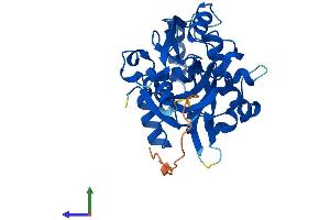 AlphaFold protein structure predicition of Mouse Recombinant Nudt22 Protein, UniprotID Q9DD16