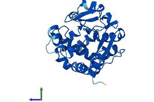 Protein Structure (PS) image for Sulfotransferase Family 3A, Member 1 (SULT3A1) (AA 1-293) protein (His tag) (ABIN7562313)
