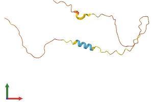 AlphaFold protein structure predicition of Human Recombinant RBAKDN Protein, UniprotID A6NC62