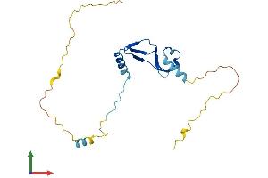 Protein Structure (PS) image for Basic Transcription Factor 3 (BTF3) (AA 1-206) protein (His tag) (ABIN7552817)
