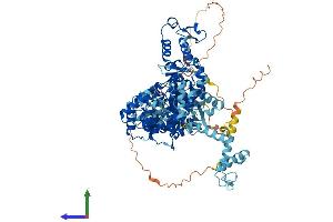 Protein Structure (PS) image for Ubiquitin Protein Ligase E3A (ube3a) (AA 1-875) protein (His tag) (ABIN7555936)