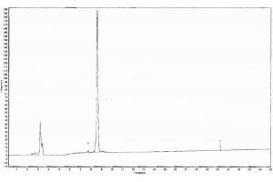 Image no. 1 for Luteinizing Hormone (LH) peptide (Ovalbumin) (ABIN5666267) (Luteinizing Hormone (LH) peptide (Ovalbumin))