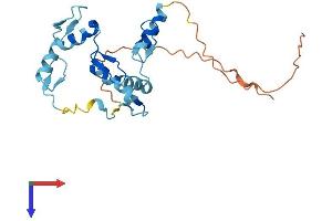 Zinc Finger Protein 22 Protein (ZNF22) (AA 1-224) (His tag)