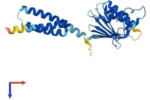 MITD1 Protein (AA 1-249) (His tag)