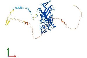 Protein Structure (PS) image for Exosome Component 9 (EXOSC9) (AA 1-438) protein (His tag) (ABIN7565077)