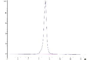 Size-exclusion chromatography-High Pressure Liquid Chromatography (SEC-HPLC) image for Kringle Containing Transmembrane Protein 1 (KREMEN1) (AA 21-392) protein (Fc Tag) (ABIN7275107)