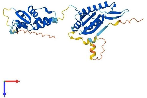 KCTD10 Protein (AA 1-313) (His tag)