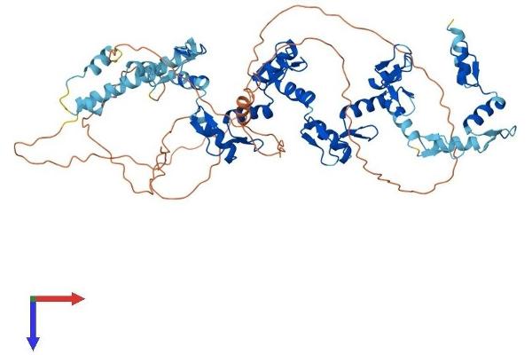 HKR1 Protein (AA 1-659) (His tag)