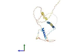 Protein Structure (PS) image for arginine/serine-Rich Coiled-Coil 1 (RSRC1) (AA 1-334) protein (His tag) (ABIN7545865)