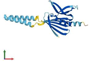 Protein Structure (PS) image for Phosphatidylinositol Glycan H (PIGH) (AA 1-188) protein (His tag) (ABIN7550734)