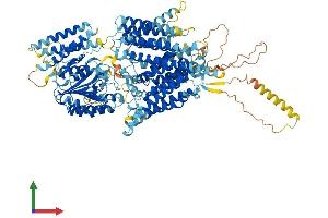 Protein Structure (PS) image for Phosphatidylinositol Glycan Anchor Biosynthesis, Class O (PIGO) (AA 1-1093) protein (His tag) (ABIN7565102)