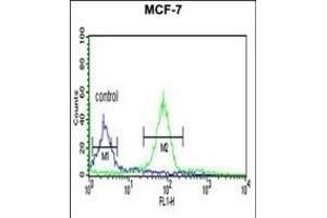 BARON Antibody (Center) (ABIN6243818 and ABIN6577360) flow cytometric analysis of MCF-7 cells (right histogram) compared to a negative control cell (left histogram). (Rubicon Antikörper  (AA 656-684))