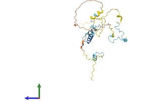 Protein Structure (PS) image for Myozenin 3 (MYOZ3) (AA 1-245) protein (His tag) (ABIN7559758)