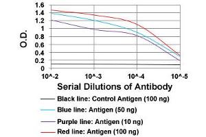 ELISA analysis of SSTR3 monoclonal antibody, clone 7H8E5  at 1:10000 dilution. (SSTR3 Antikörper  (AA 1-43))