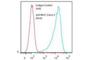 Flow cytometric analysis of Daudi cells with MHC Class II monoclonal antibody, clone TDR31. (MHC Class II Antikörper)