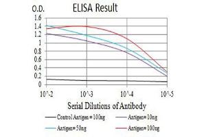 Black line: Control Antigen (100 ng),Purple line: Antigen (10 ng), Blue line: Antigen (50 ng), Red line:Antigen (100 ng) (CD84 Antikörper  (AA 22-225))