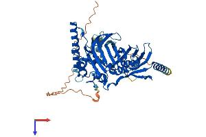 OSBPL2 Protein (AA 1-484) (His tag)