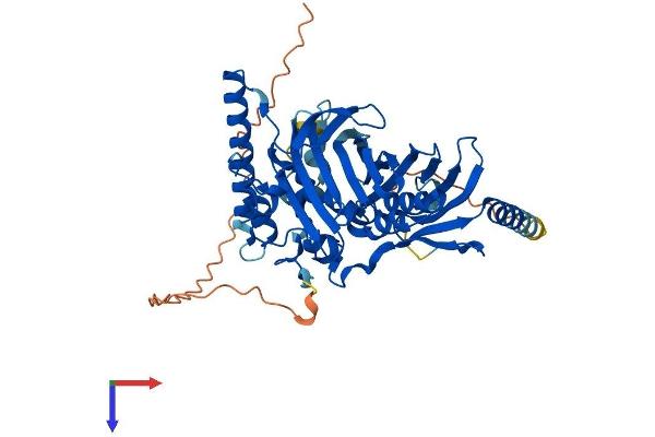 OSBPL2 Protein (AA 1-484) (His tag)