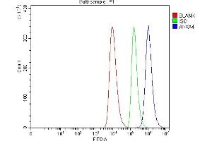Flow Cytometry analysis of HEL cells using anti-Annexin-4/ANXA4 antibody (ABIN7599265). (Annexin IV Antikörper  (AA 1-319))