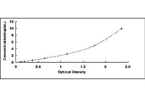 Typical standard curve (NT5C ELISA Kit)