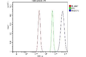Flow Cytometry analysis of RT4 cells using anti-RAD51C antibody (ABIN7599718).