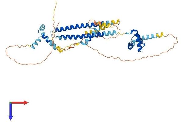 PBX1 Protein (AA 1-430) (His tag)