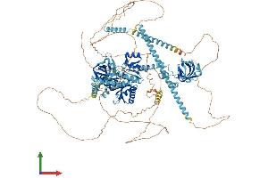 Protein Structure (PS) image for Eukaryotic Translation Initiation Factor 5B (EIF5B) (AA 1-1216) protein (His tag) (ABIN7563603)