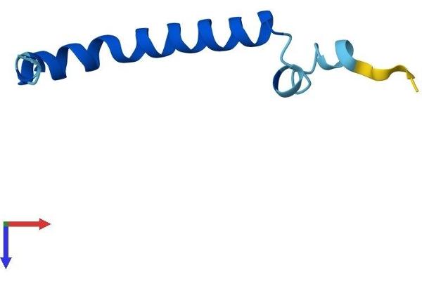 UQCR11 Protein (AA 1-56) (Fc Tag)
