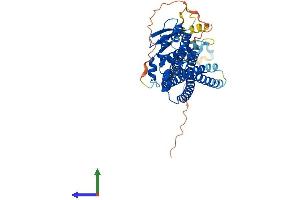 Protein Structure (PS) image for Sorting Nexin 8 (SNX8) (AA 1-459) protein (His tag) (ABIN7559302)