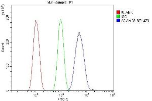 anti-ADAM Metallopeptidase Domain 28 (ADAM28) (AA 26-195) antibody