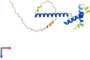 TWIST2 Protein (AA 1-160) (His tag)