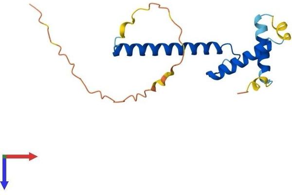 TWIST2 Protein (AA 1-160) (His tag)