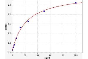 Typical standard curve (Syndecan 1 ELISA Kit)