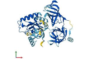 AlphaFold protein structure predicition of Mouse Recombinant Eef1a2 Protein, UniprotID P62631