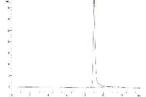 The purity of Cynomolgus IL-17F is greater than 95 % as determined by SEC-HPLC. (IL17F Protein (AA 31-163) (His tag))