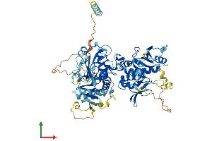 Protein Structure (PS) image for Exostoses (Multiple)-Like 1 (EXTL1) (AA 1-669) protein (His tag) (ABIN7561652)