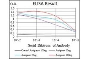ELISA image for anti-Ribosomal Protein S6 Kinase, 70kDa, Polypeptide 1 (RPS6KB1) antibody (ABIN1108904) (RPS6KB1 Antikörper)