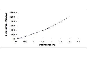 Typical standard curve (FGF11 ELISA Kit)