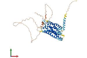AlphaFold protein structure predicition of Human Recombinant C3AR1 Protein, UniprotID Q16581 (C3AR1 Protein (AA 1-482) (His tag))