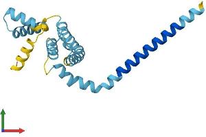 Protein Structure (PS) image for Receptor Accessory Protein 5 (REEP5) (AA 1-189) protein (His tag) (ABIN7551323)