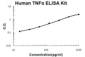 Human TNF alpha PicoKine ELISA Kit standard curve