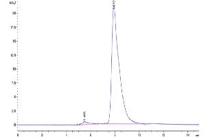 Size-exclusion chromatography-High Pressure Liquid Chromatography (SEC-HPLC) image for Fc Receptor-Like 2 (FCRL2) (AA 20-401) protein (His tag) (ABIN7274591)