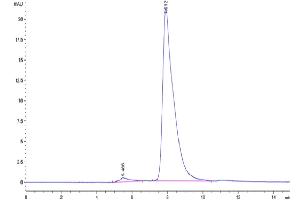 The purity of Human FCRL2 is greater than 95 % as determined by SEC-HPLC. (FCRL2 Protein (AA 20-401) (His tag))