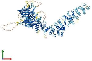 Protein Structure (PS) image for Hermansky-Pudlak Syndrome 3 (HPS3) (AA 1-1002) protein (His tag) (ABIN7564781)