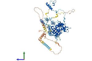 AlphaFold protein structure predicition of Mouse Recombinant Gnl2 Protein, UniprotID Q99LH1